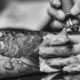 Alternatives to Green Soap for Tattooing