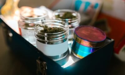 Cannabis Stock