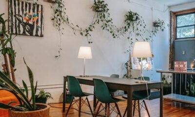 House Interior Painting