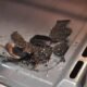 How to Clean Burnt Sugar from Your Oven