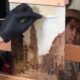 How to Clean an Oil Painting from Cigarette Smoke