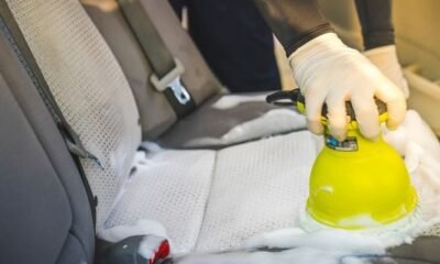 How to Get Pee Smell Out of Car Seat