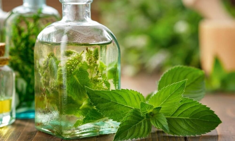 Is Mint Extract the Same as Peppermint Extract