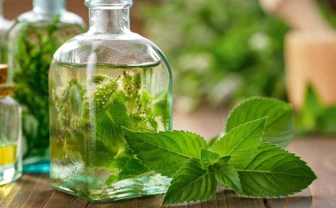 Is Mint Extract the Same as Peppermint Extract
