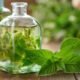 Is Mint Extract the Same as Peppermint Extract