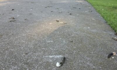 How to Remove Bird Poop from Concrete