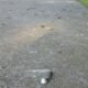 How to Remove Bird Poop from Concrete