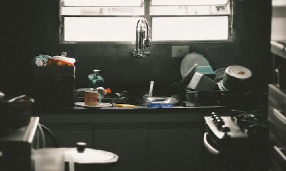 Kitchen Appliance Repair