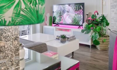 TV Repair Services