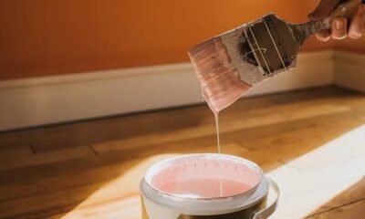 How Long Does Paint Take to Dry