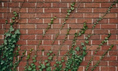 Brick Tuckpointing - The Solution to Your Crumbling Walls