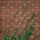 Brick Tuckpointing - The Solution to Your Crumbling Walls