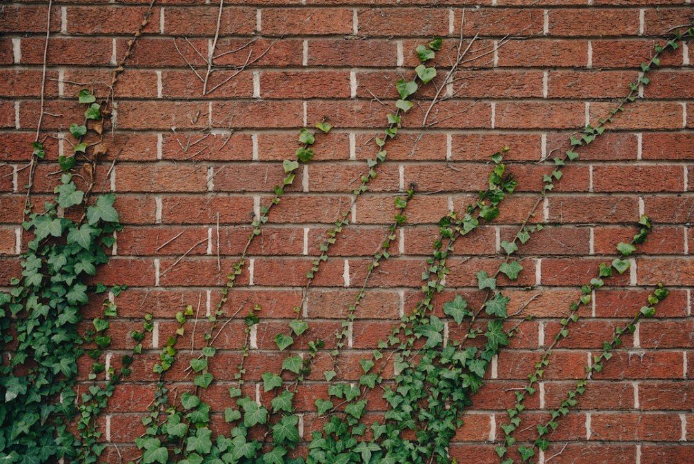 Brick Tuckpointing