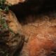 Tokyo’s Ancient History Unearthed in Pit Houses