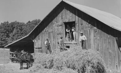 A Barn Full of Hope