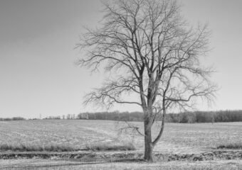 60 degree days in February in Fort Wayne