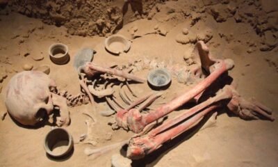 Ancient Human Remains
