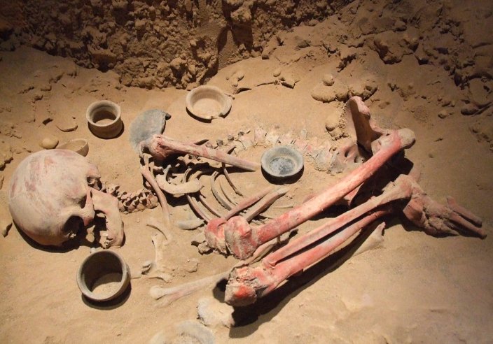 Ancient Human Remains 