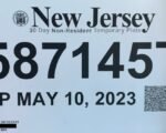 Fake Temporary License Plates