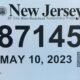 Fake Temporary License Plates