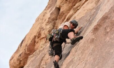 Rock climber survives