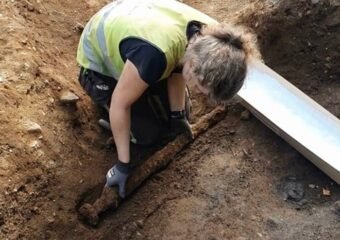 A 1,200-year-old Viking sword emerges