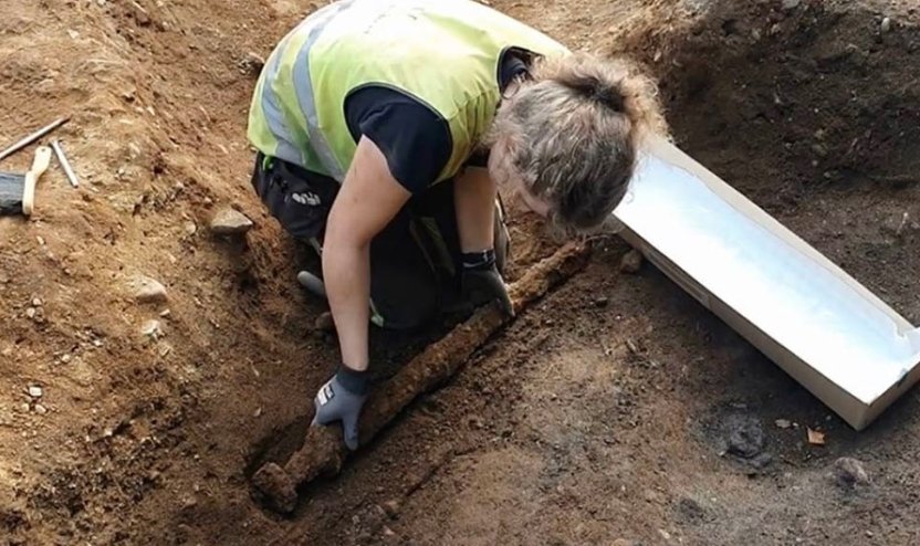A 1,200-year-old Viking sword emerges