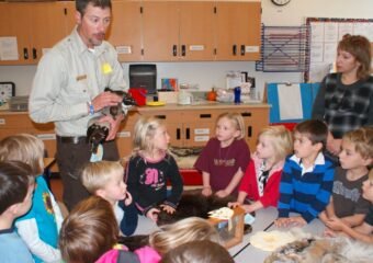 Colorado preschool education program