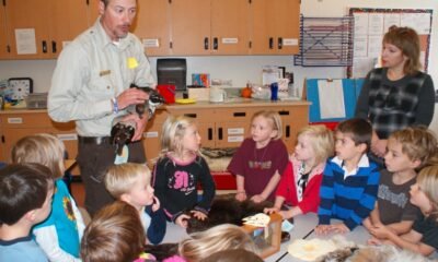 Colorado preschool education program