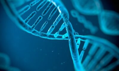 Former CBI DNA