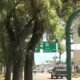 Grand Junction City Manager Qualifications
