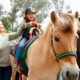 Harmony Acres Equestrian Center therapy