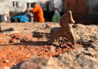 Medieval Marvel Unearthed in Toruń