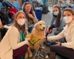 Montrose Regional Airport therapy dog Nala