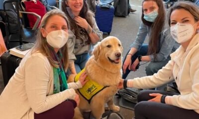 Montrose Regional Airport therapy dog Nala