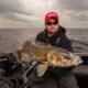 Sterile walleye to boost