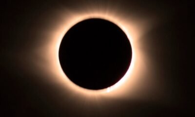 allen-county-solar-eclipse Image: Solar eclipse viewing