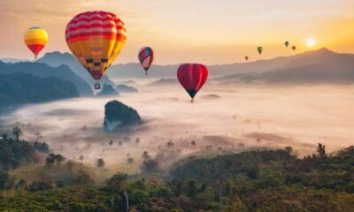 Eloy Arizona hot air balloon crash investigation