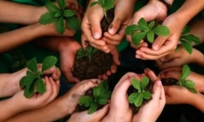Environment conservation