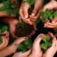 Environment conservation