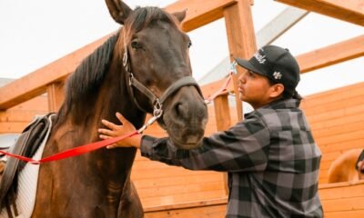 Grand Valley Horse Trust Recovery