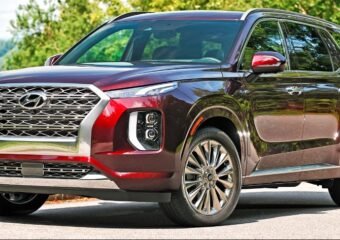 Palisade Rebuilding Strength