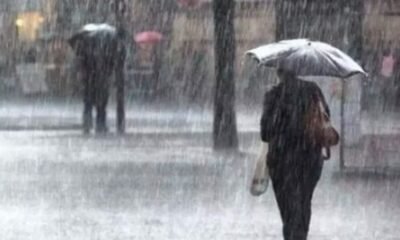 city rain forecast