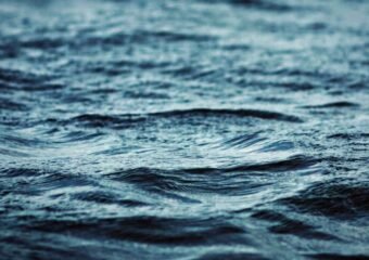 Trout Lake Colorado Drowning Incident