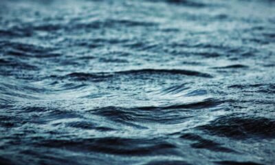 Trout Lake Colorado Drowning Incident