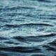 Trout Lake Colorado Drowning Incident