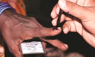 Local elections voting