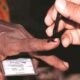 Local elections voting