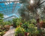 Botanical Conservatory Raise a Glass