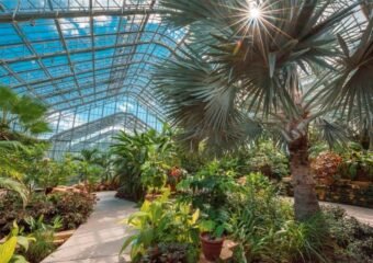 Botanical Conservatory Raise a Glass